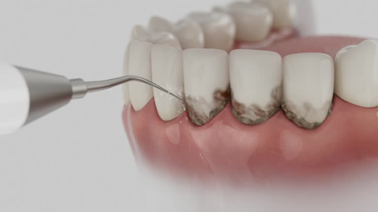 Reliable Dental contractor in Plains, MT by Dentist Open Now